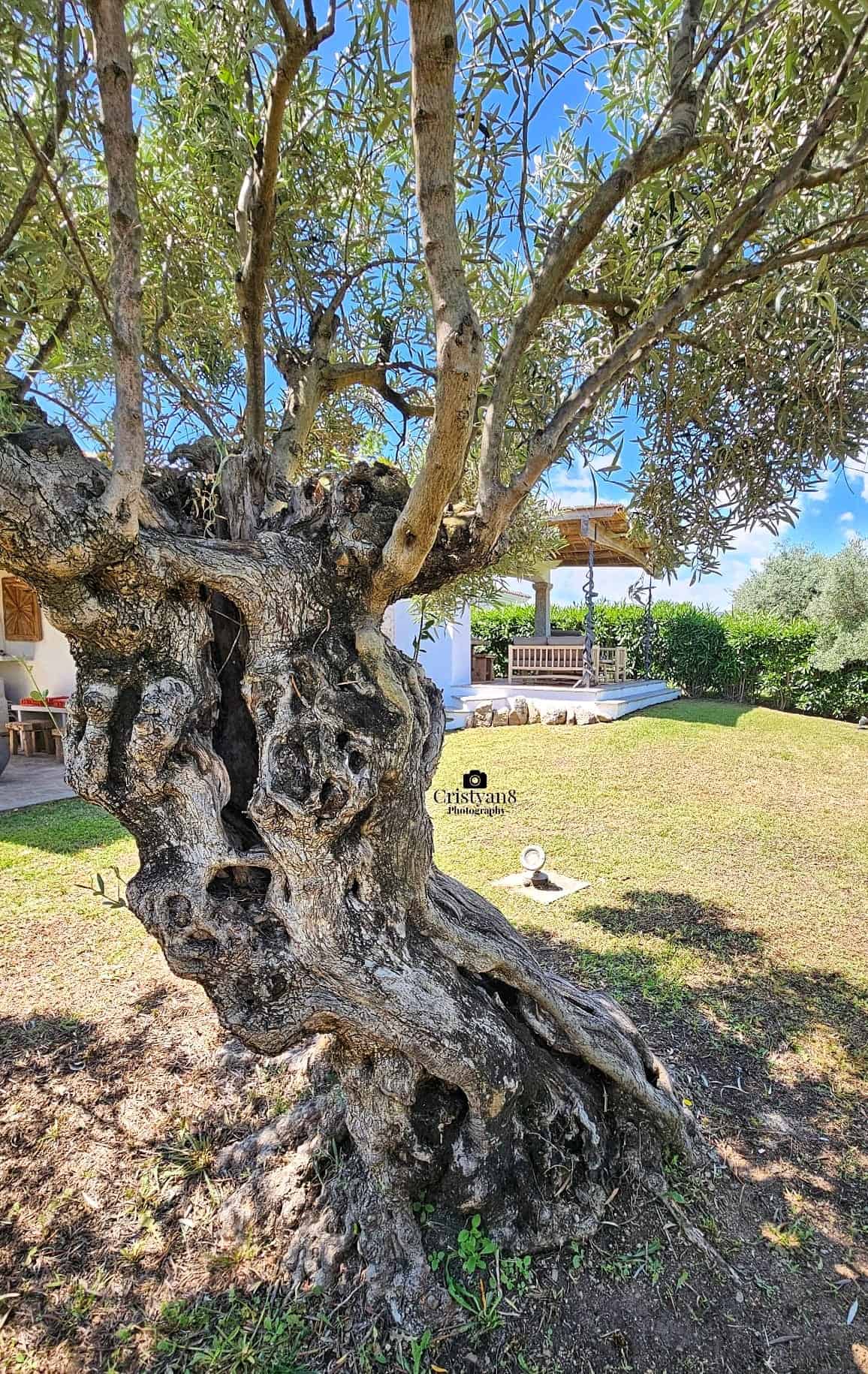 Villa Mariolu Beach, Budoni