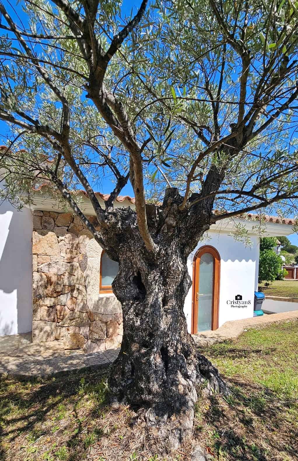Villa Mariolu Beach, Budoni