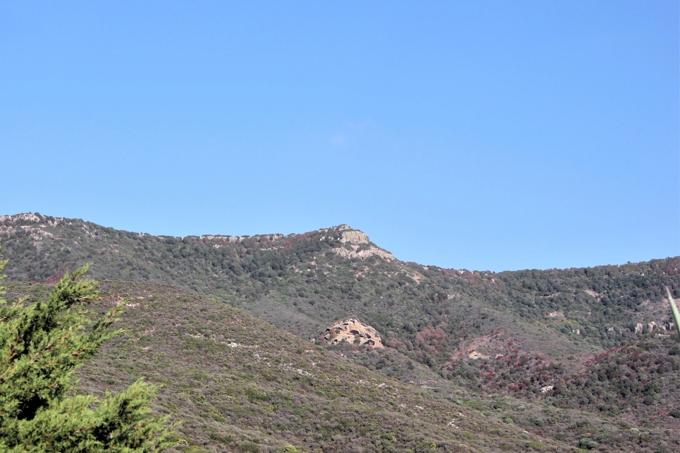Monte Nieddu